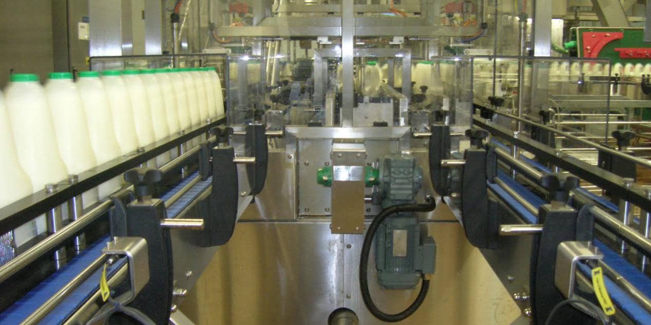 Dairy Project Conveyor System