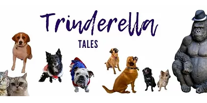 Trinderella Trinderella