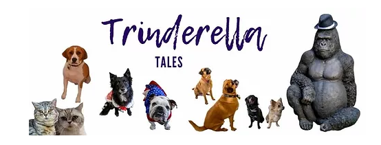 Trinderella Trinderella