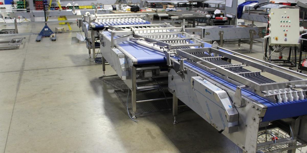 Belt Conveyor Systems are versatile Asmech
