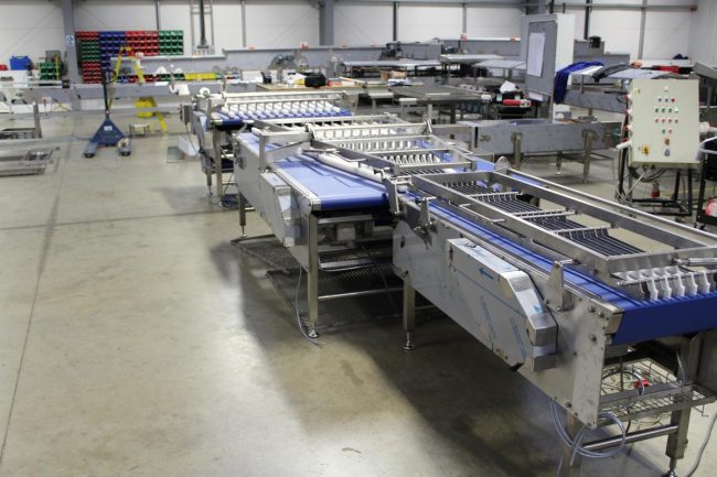 Belt Conveyor Systems are versatile Belt Conveyor Systems are versatile