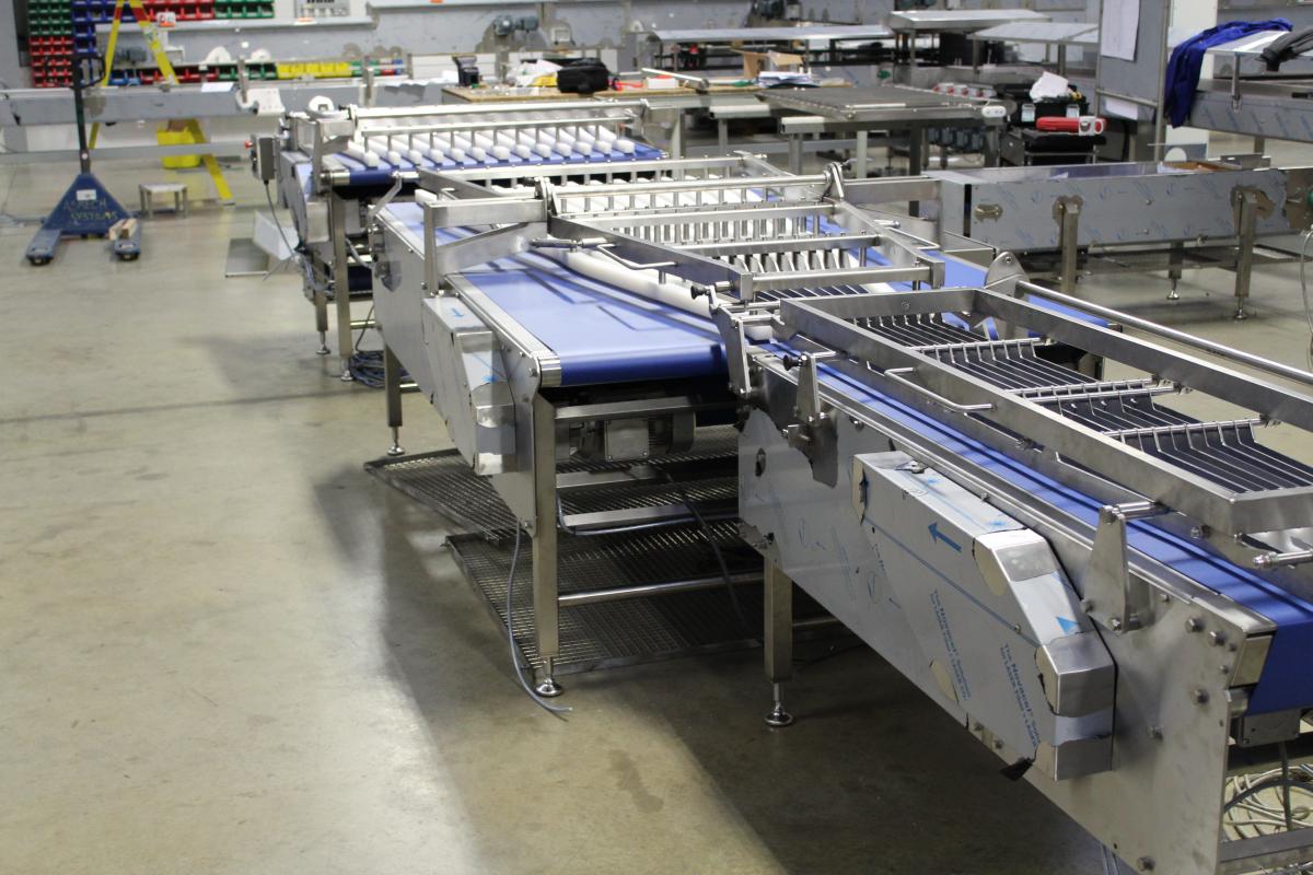 Bespoke conveyor design