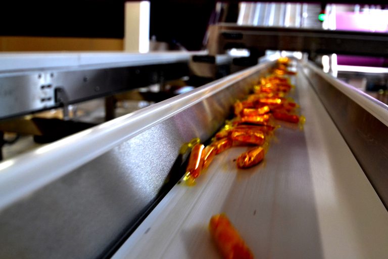 food conveyor systems