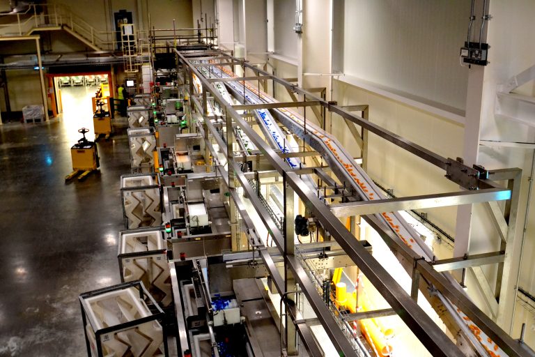 Things to keep in mind before you design a new food and beverage plant